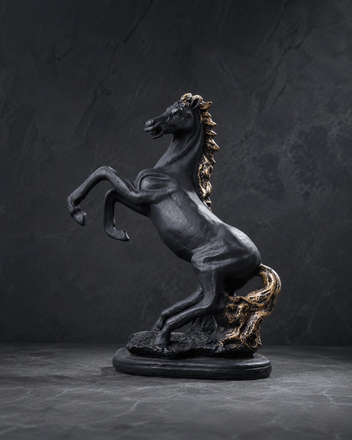 The Black Stallion